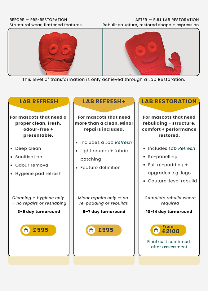 Mascot Lab service guide showing refresh, refresh+ and full restoration options
