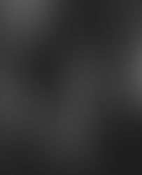 ET MESTERLIGT PROGRAM ... fortsat