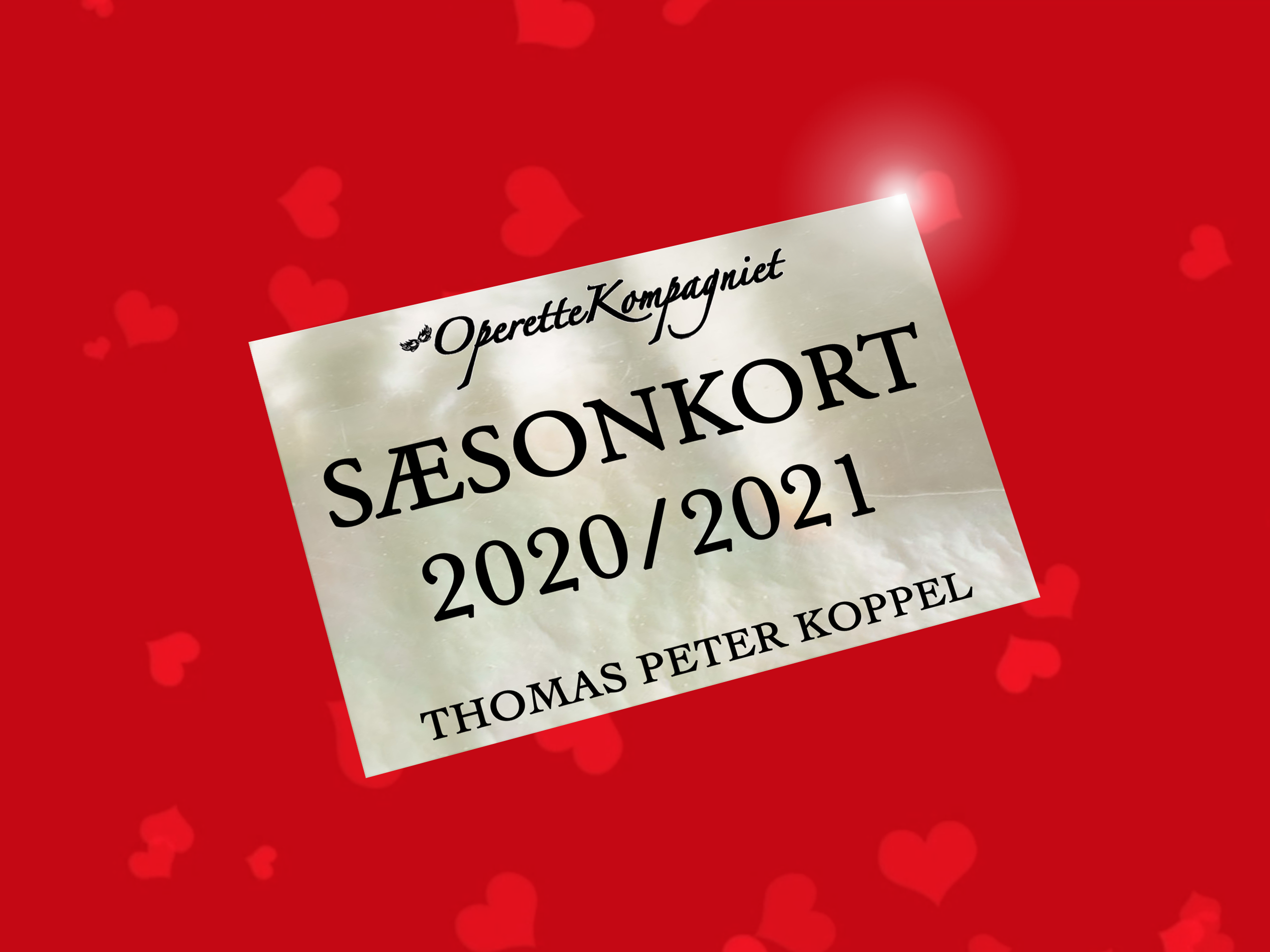 SÆSONKORT 2020/2021 - flere modeller
