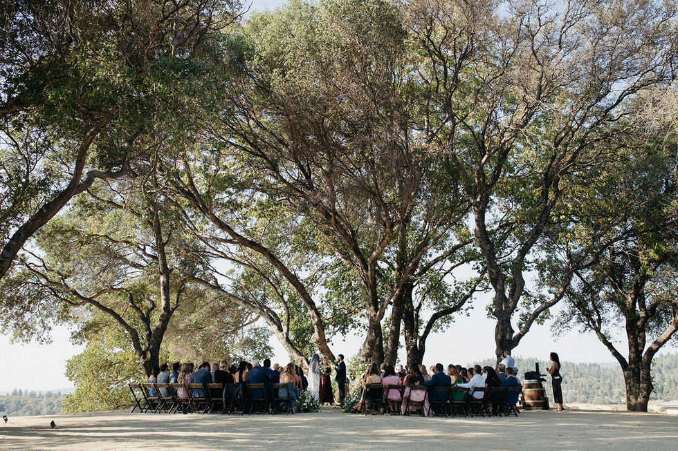 a group of people are sitting under trees at a wedding ceremony