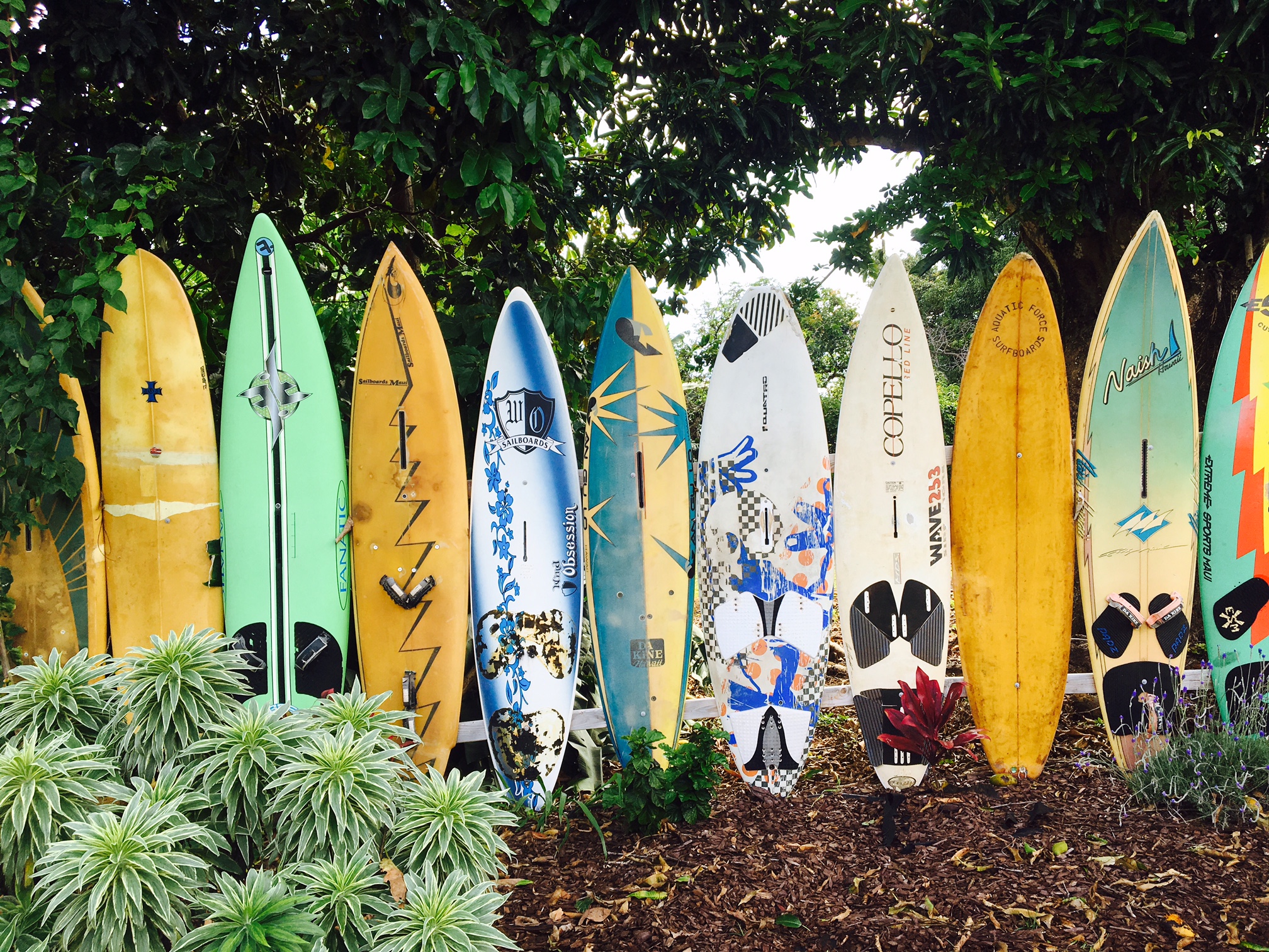 Maui Vacation Rentals Haiku Surf Cottage United States
