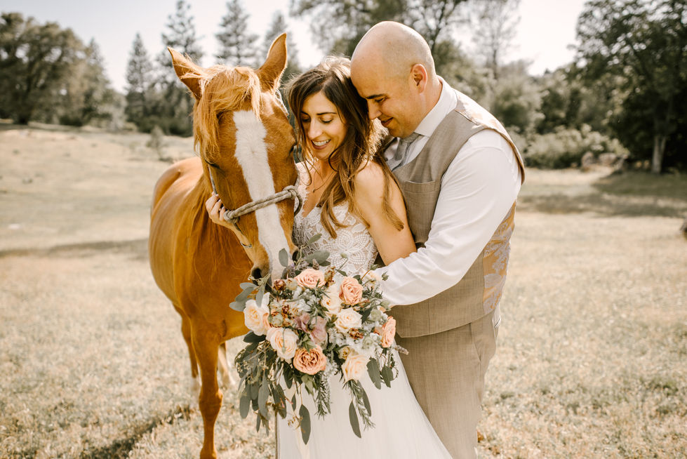 a bride and groom pose with a horse in a field