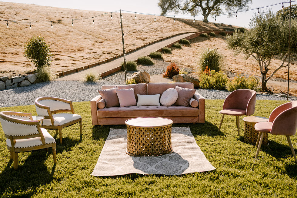 a couch and a coffee table are sitting on a rug in the grass