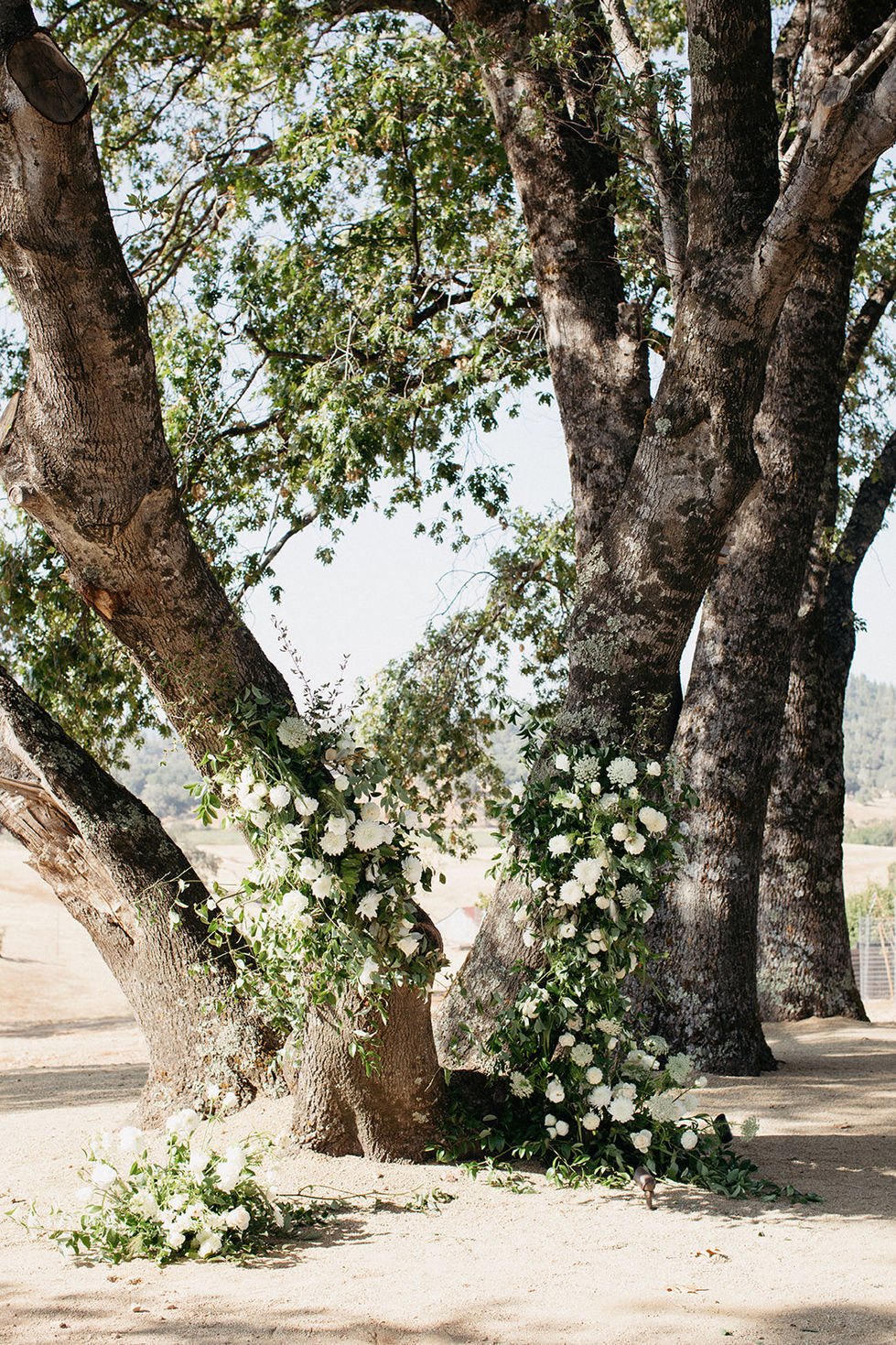 a row of trees are decorated with white flowers and greenery