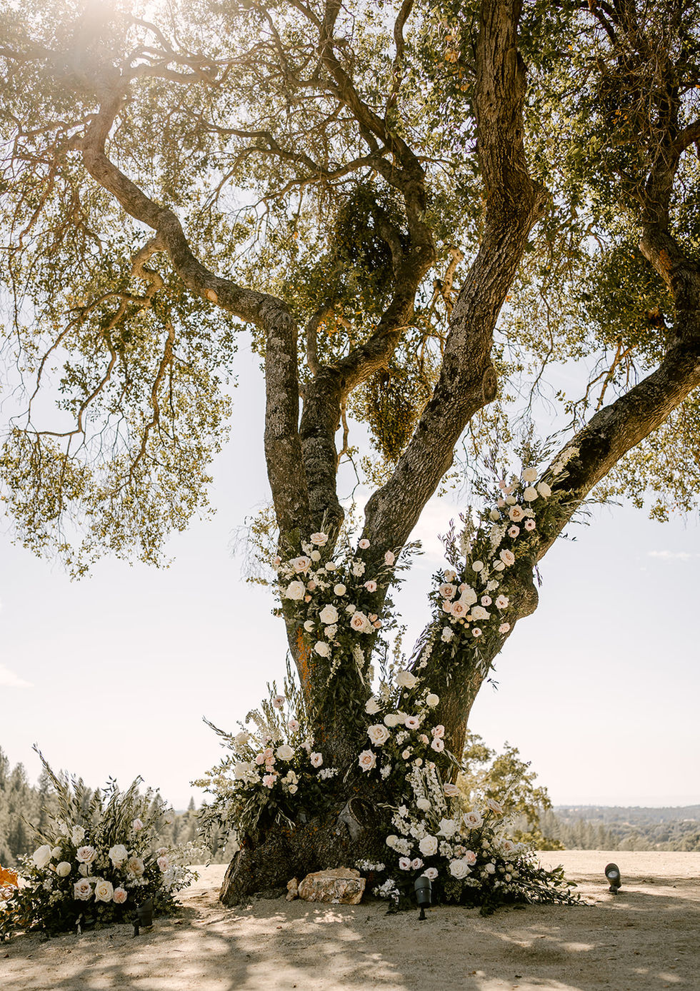 a tree is decorated with white flowers and greenery