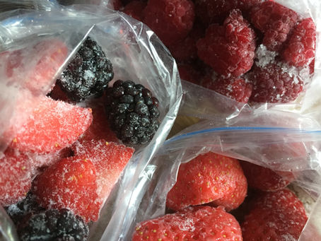 In praise of freezers
