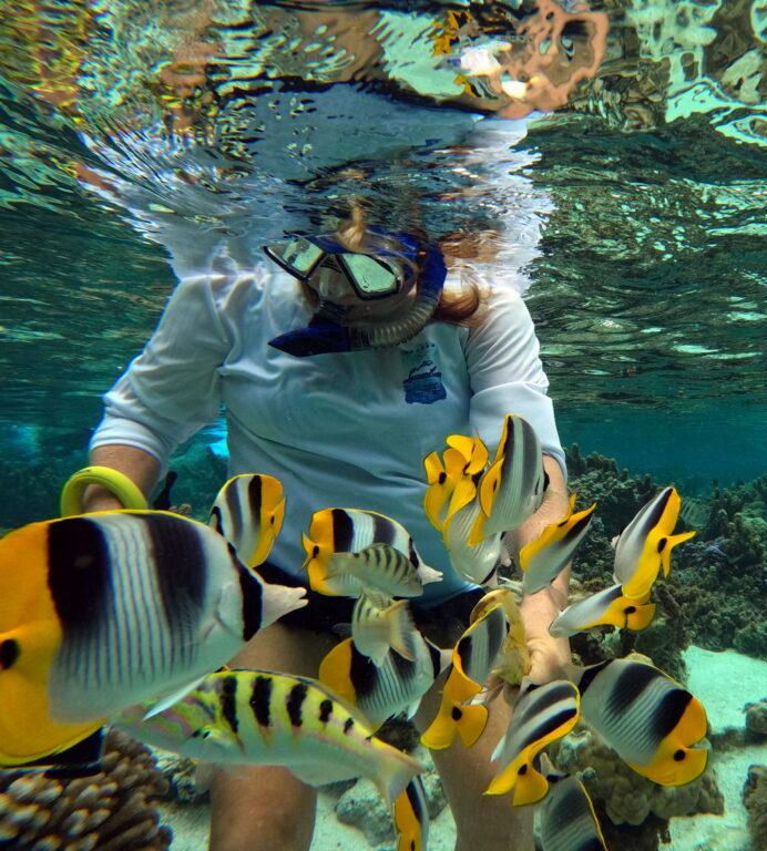 We were emailed a whole slew of go-pro photos in 2025 (we did not get pictures sent in 2024)