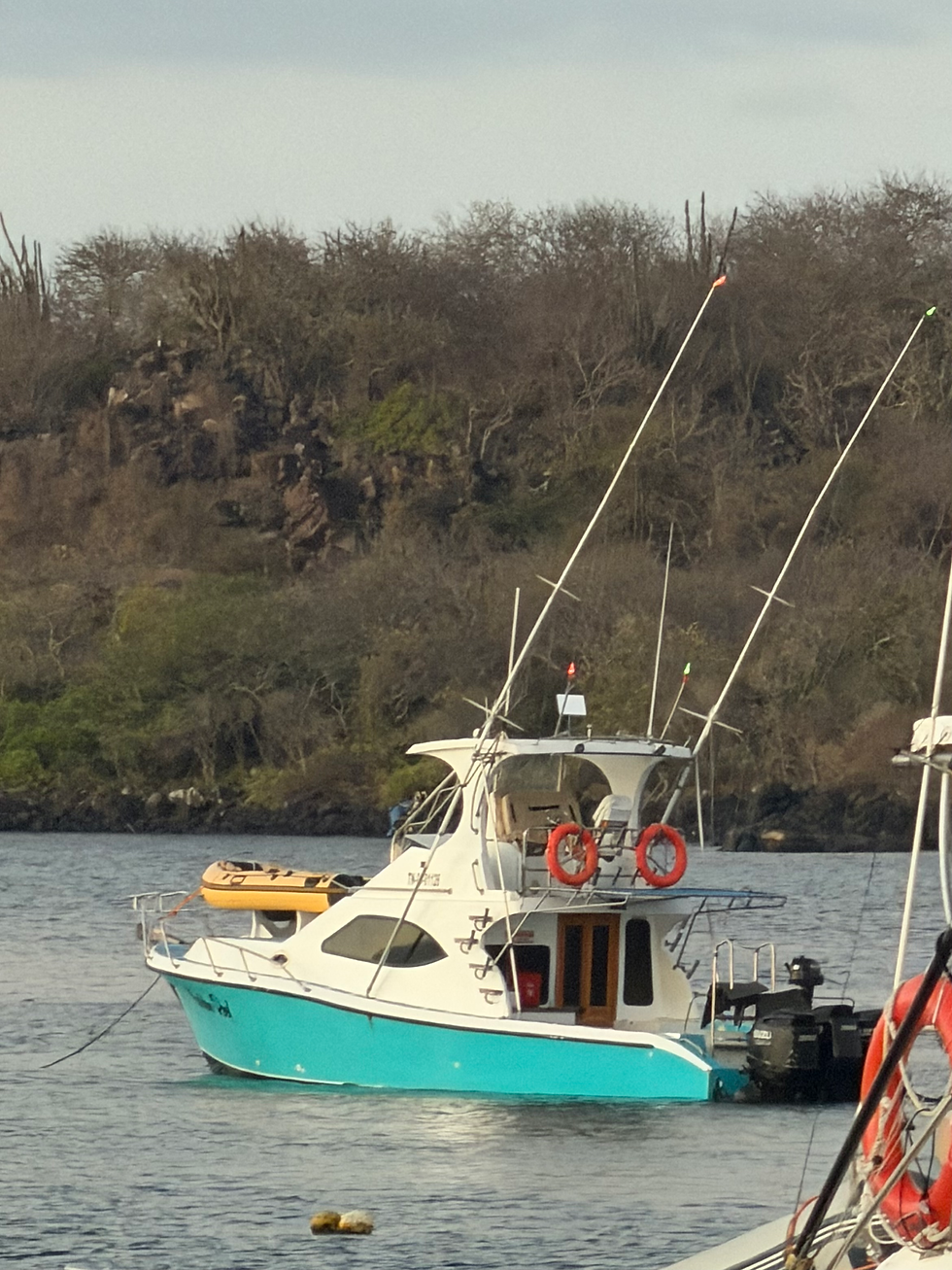 The Golden Reel (our boat for the day).