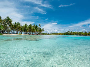 35 night Hawaii/Tahiti cruise (2024)