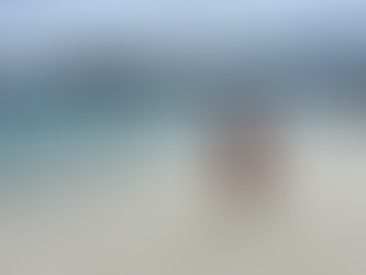 Morning hike at China-mans Hat- the one where I got licked by a curious baby sea lion