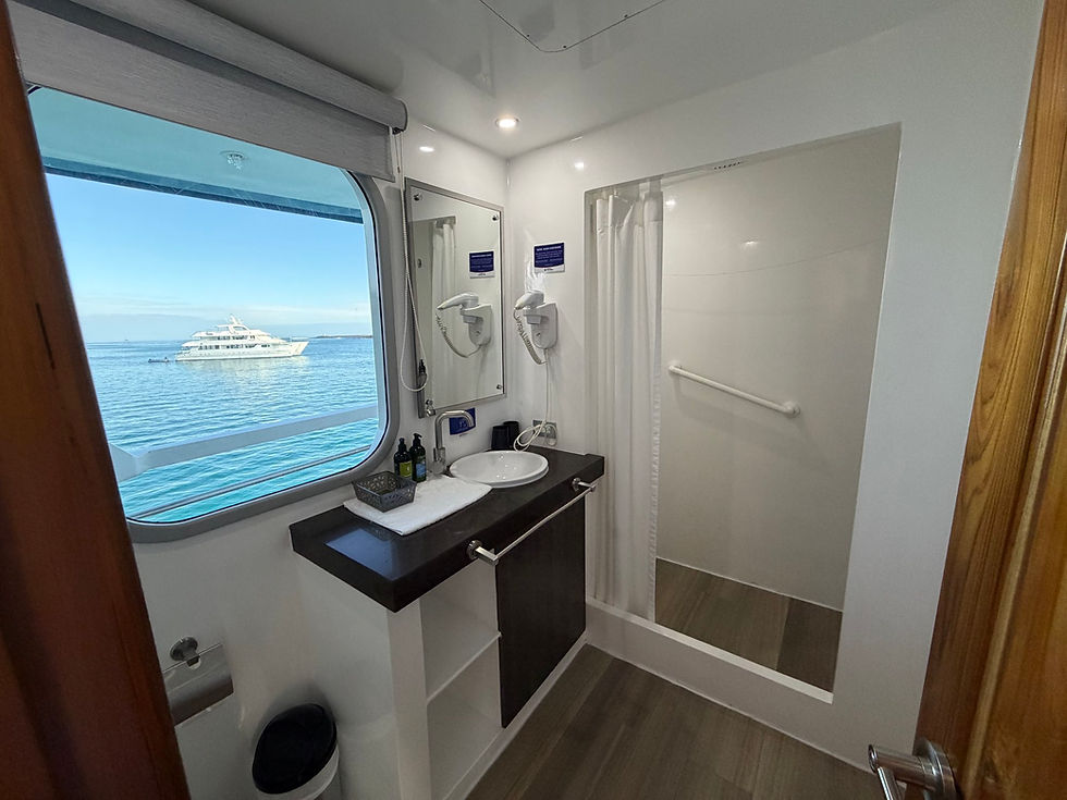 bathroom with a view
