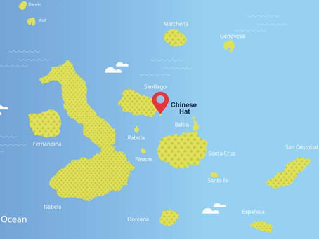 Chinese Hat snorkeling with penguins, sea lions, and many colorful fish/coral