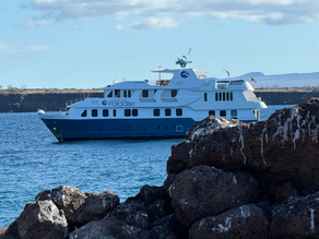 Natural Paradise luxury Yacht