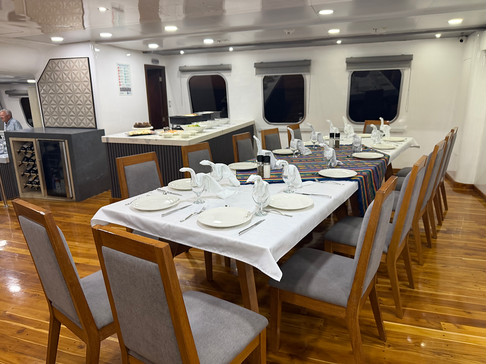 On the last night the crew put the tables together so all 13 of us were able to share one meal together. My fellow passengers on this vessel were really really great!!! And our comradery made the trip extra special. They will always be my Galapagos Family.