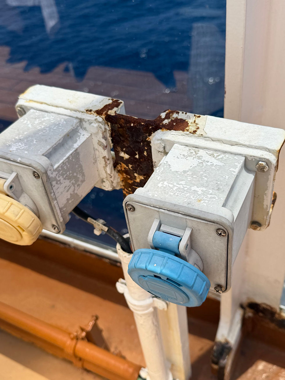 Nieuw Amsterdam- final thoughts-