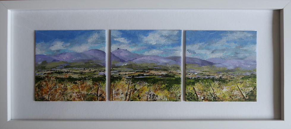 Finzean summer, triptych