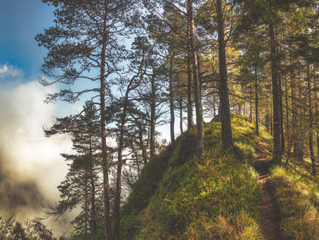 Morning Hike