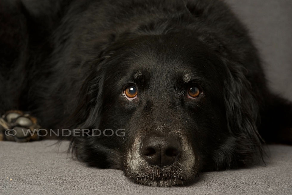 C369FB47-7520-4398-9618-7B6D74708C71_1_105_c