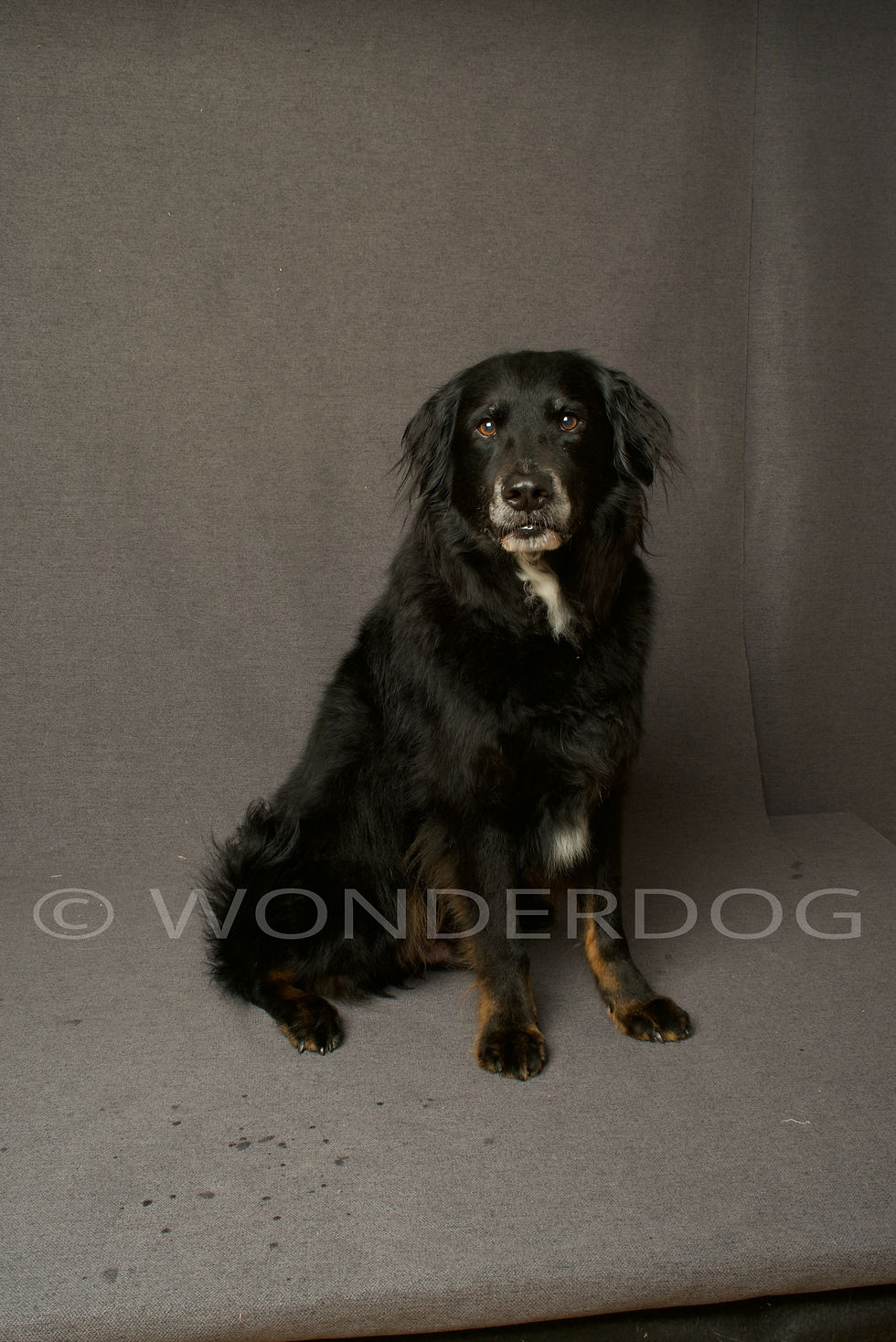 3627F1A1-F9D6-444F-96EB-4387AFF9E4EB_1_201_a