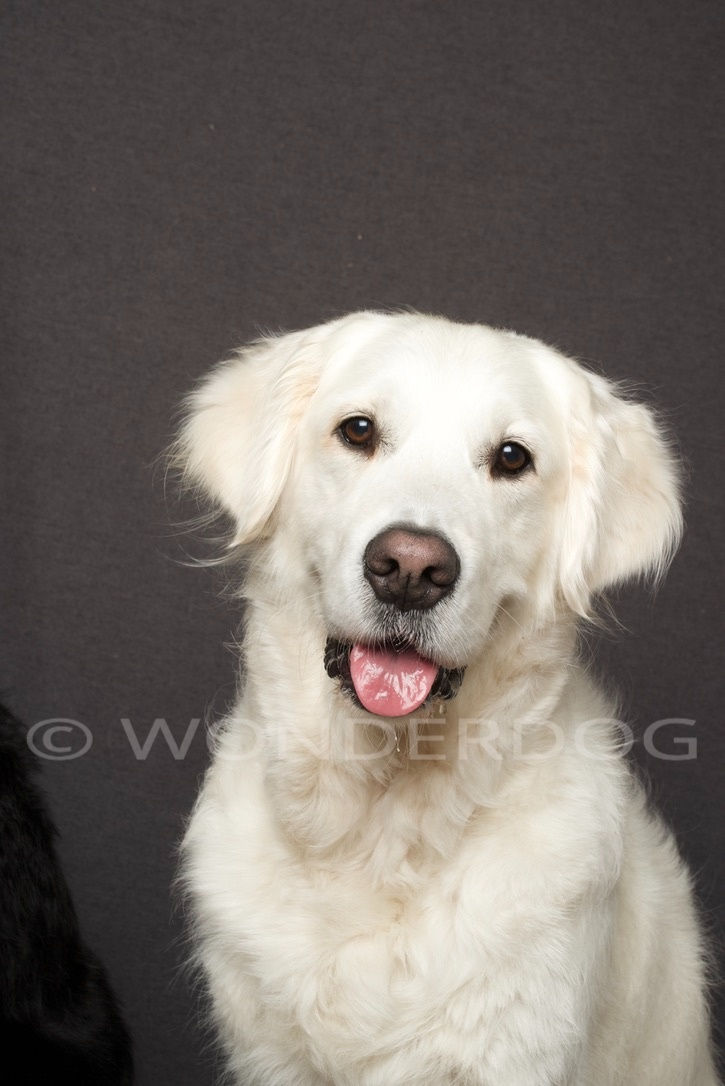 A4E0241D-3660-4D8F-90F5-C4A3106A68A1_1_105_c