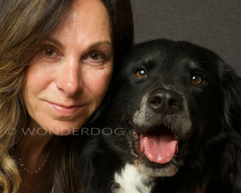 5C17E0D2-8506-4523-9C67-17F96B979D8C_1_201_a