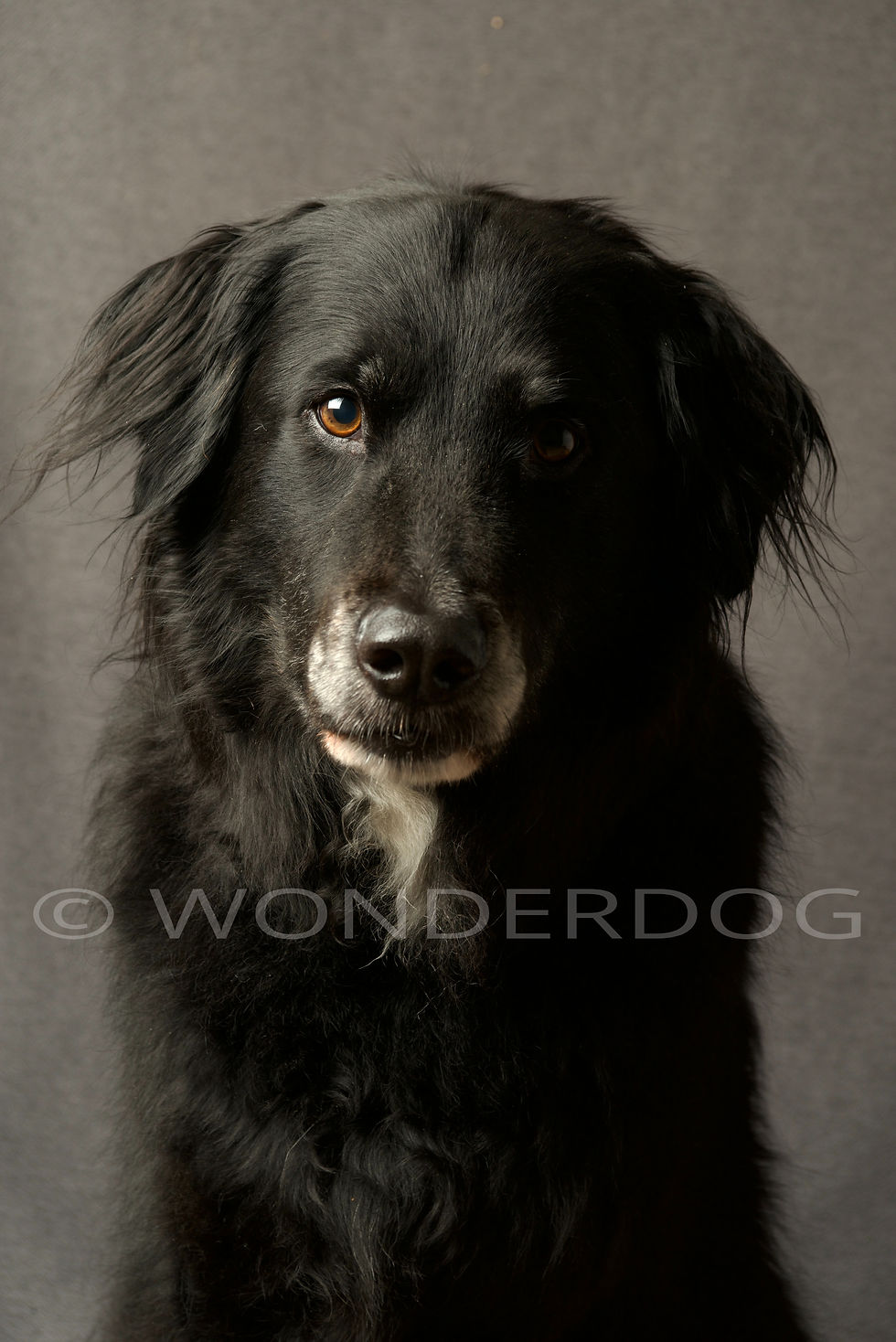 46D2429C-103C-4775-819C-CB8D75501414_1_201_a