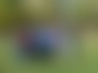 25-26/10/2025 – Un week-end de maîtrise réussi!