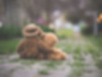 banner_home2.jpg