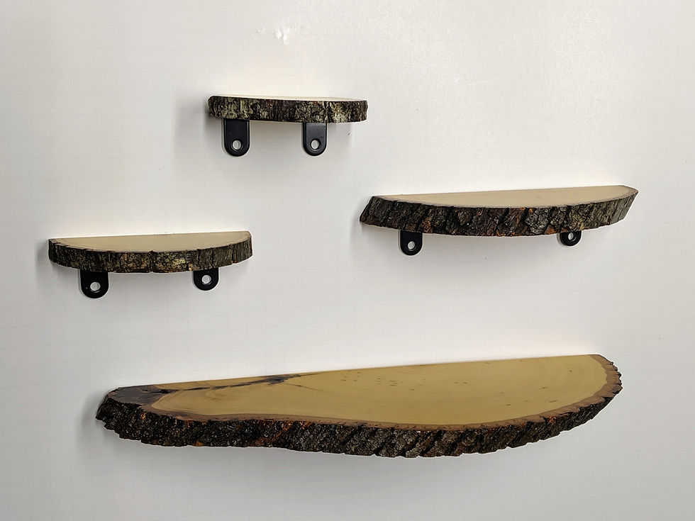 Thumbnail: Nature Spirits Shelf Set