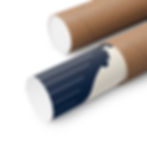 Thumbnail: Connected Ohio Rail Map Poster