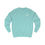 Thumbnail: The AAO Sweatshirt