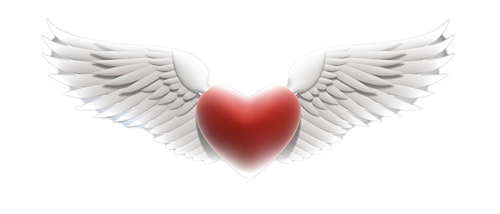 heartwings1 copy.png