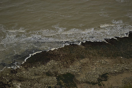 DSC_0903.jpg