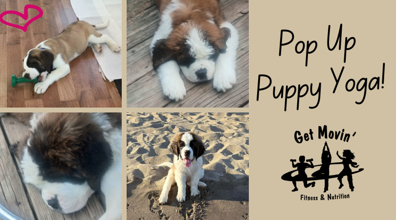 🐶✨Pop Up Puppy Yoga ✨🧘‍♀️🐾