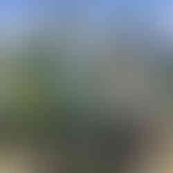 An agricultural culinary tour with a farmer in Oaxaca