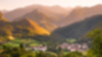 shutterstock_1530372158.jpg