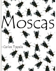 Reseña de Moscas | Vantriani