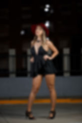 PIM Modeling Portfolios