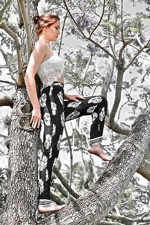 PIM Modeling Portfolio
