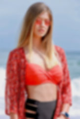PIM Modeling Portfolio