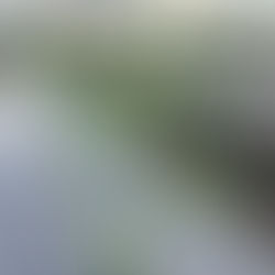 なぜハーブを育てるのか。〜ハーブとの出会い〜