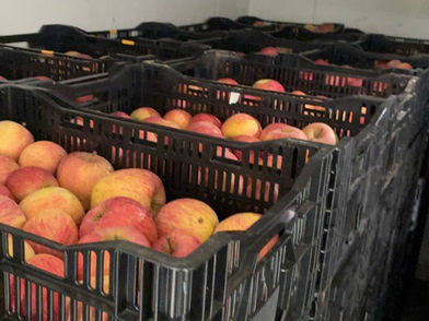 洋酒祭ありがとうございました!今週は梅田と盛岡でイベントしてます!