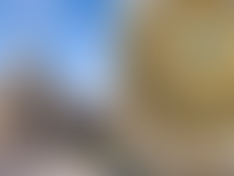 Rising Voices Condemns Michigan House Republicans’ Reckless Budget Sabotage