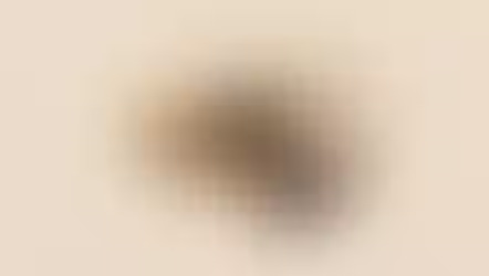 ג'יפיטי - GPT הוא לא בוט: ההבדל שכל עסק חייב להבין