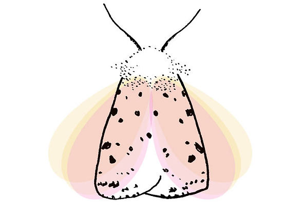 logo huisje witte tijger