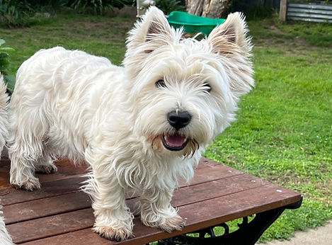 IMG_3472 (1)_edited.jpg