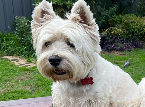 IMG_3472 (1)_edited_edited.jpg