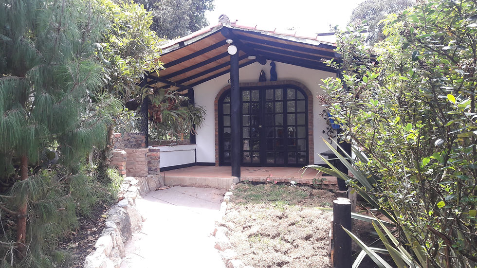 Estudio III