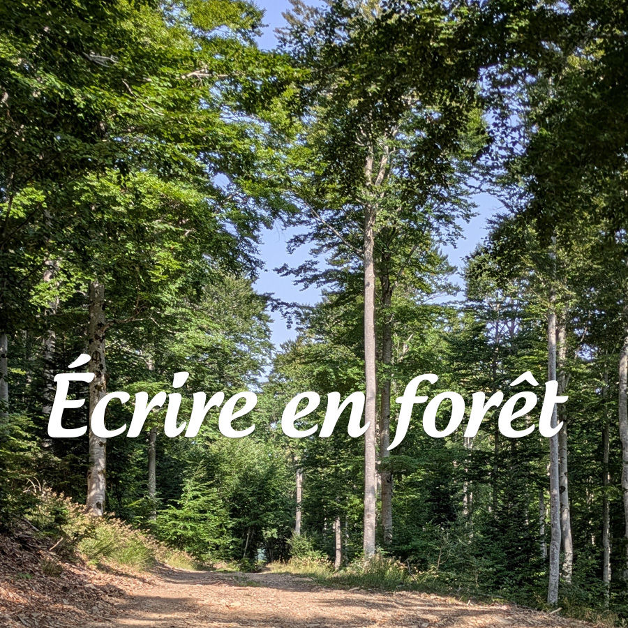 Ecrire en forêt