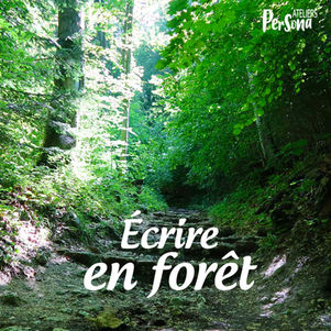 Ecrire en forêt